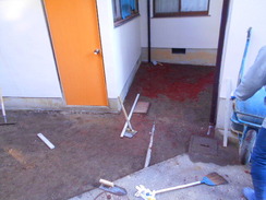 DSCN2006