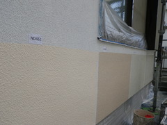 IMGP2986