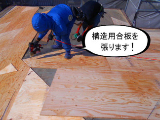 BlogPaint