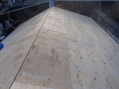 P7294784
