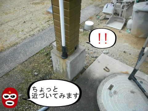 BlogPaint