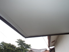 P8034899