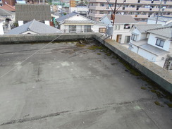 DSCN0204