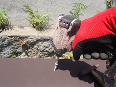 P7044101