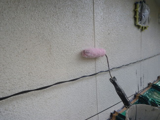 IMGP9973
