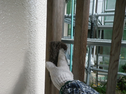 IMGP0567