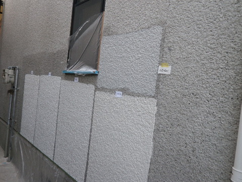 IMGP8775