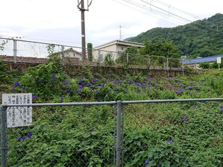DSC_2710-01 (2)
