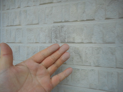 DSCN1650