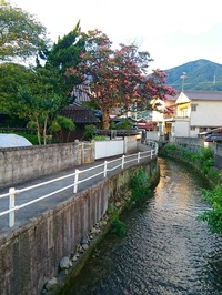 DSC_0355~3-01