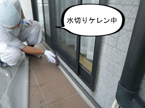 BlogPaint