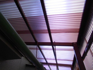DSCN2704