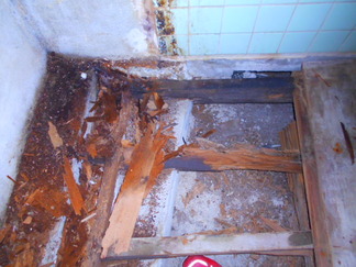 DSCN0363