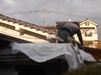 DSCN2140
