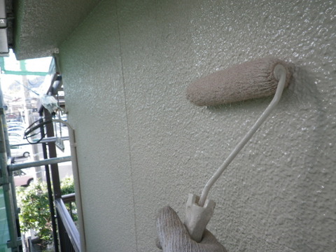 IMGP0555