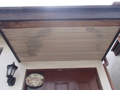 P8034893