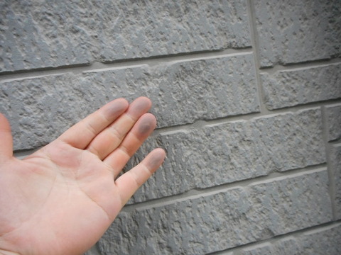 DSCN2471