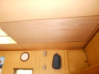 DSCN5461