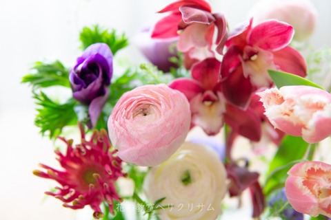 Piantaの花 大阪市天王寺区にある花の教室 ヘリクリサム