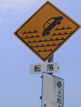 64c82b26.JPG