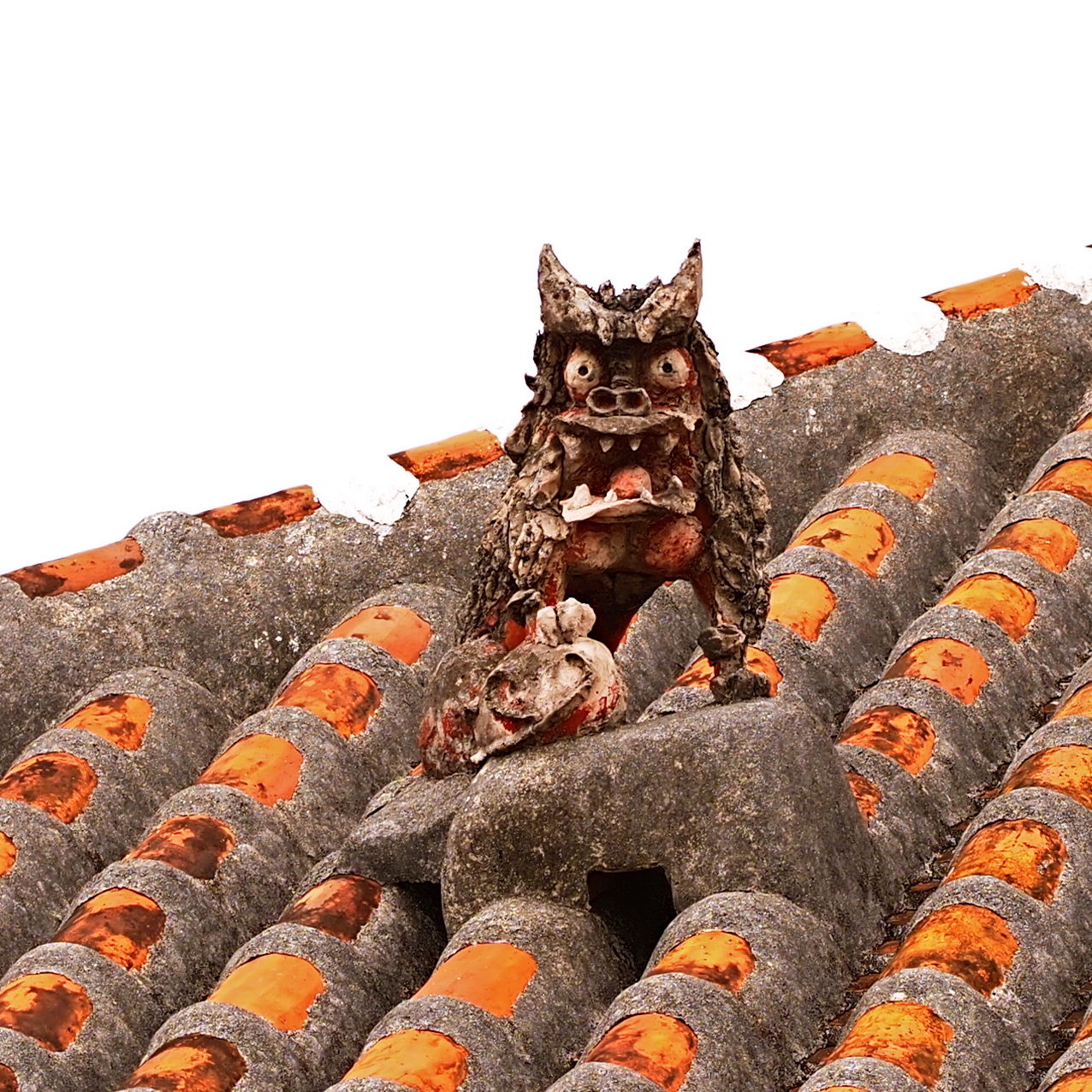 竹富島シーサーコレクション : 今日の一枚 しばたのブログ