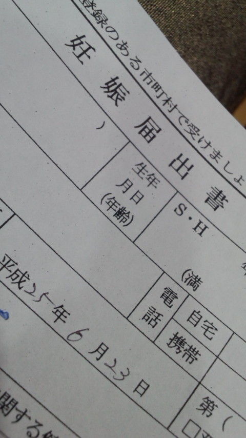 心拍確認 母子手帳 うまれるまで うまれてから 心拍確認 母子手帳 うまれるまで うまれてから