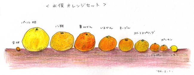 水俣オレンジセット 日々のこと A La Cuisine 水俣オレンジセット 日々のこと A La Cuisine