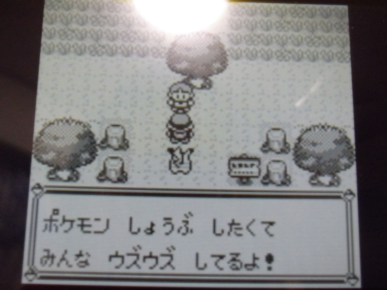 ぴっピカ雑記 その１ 磁場 のポケ日記
