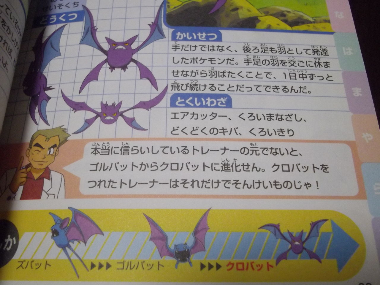 ポケモン全キャラ大辞典 磁場 のポケ日記