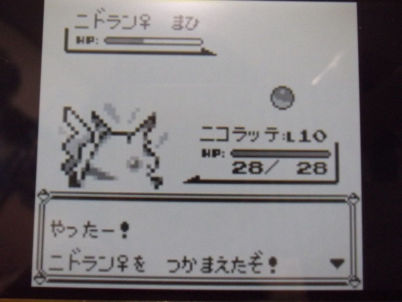 ぴっピカ雑記 その1 磁場 のポケ日記 ぴっピカ雑記 その1 磁場 のポケ日記