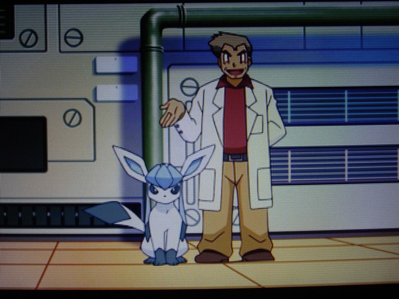 アニメポケモン グレイシアの登場する回 磁場 のポケ日記