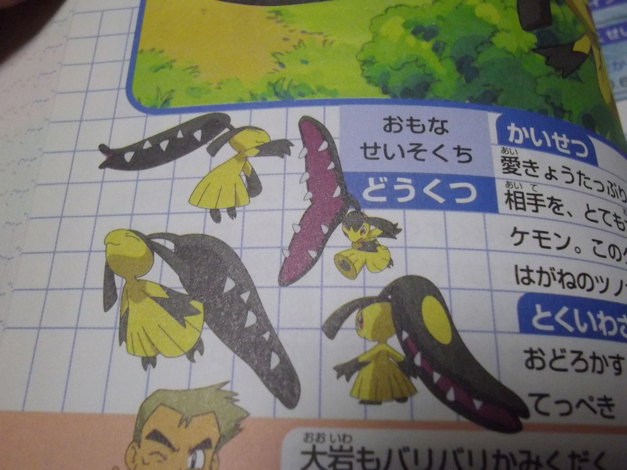ポケモン全キャラ大辞典 磁場 のポケ日記