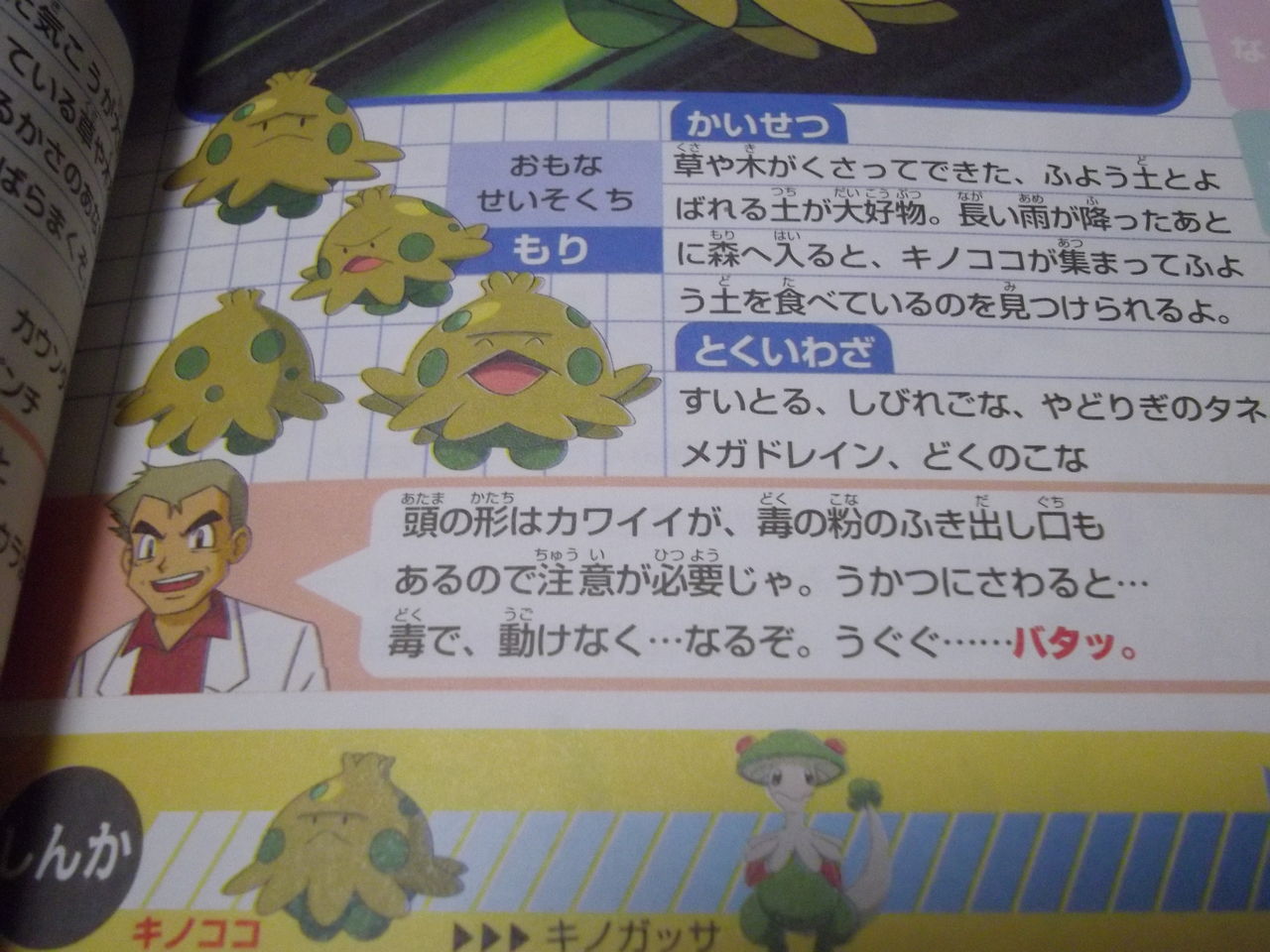 オメガ ルビー キノココ 最高のイラストと図面 オメガ ルビー キノココ 最高のイラストと図面