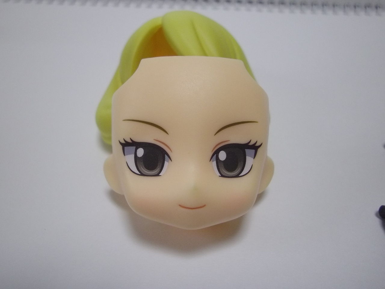 ねんどろいど シロナ 磁場 のポケ日記