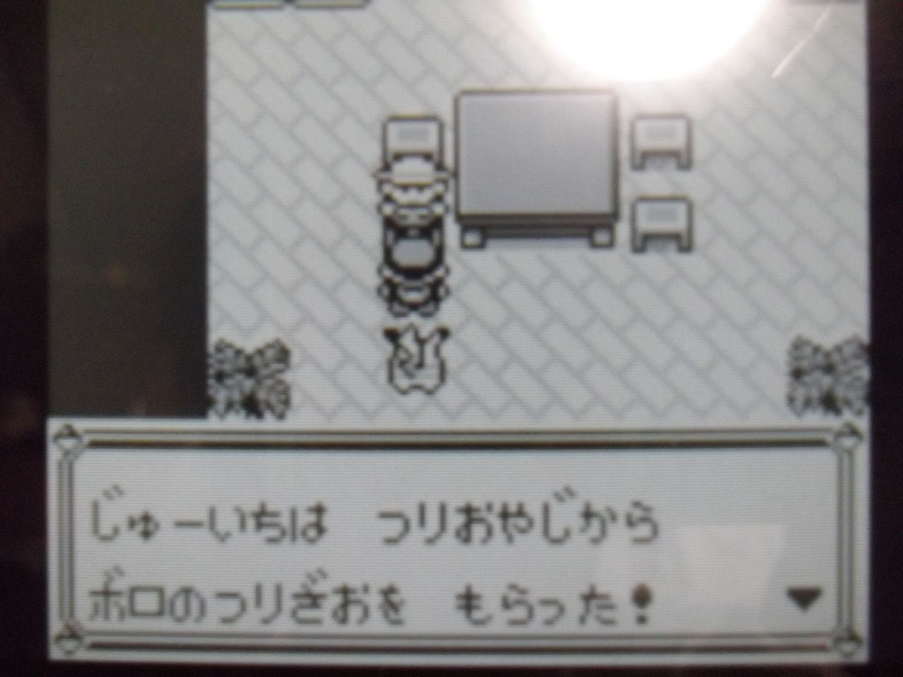 アルファ サファイア すごい つり ざお イメージポケモンコレクション