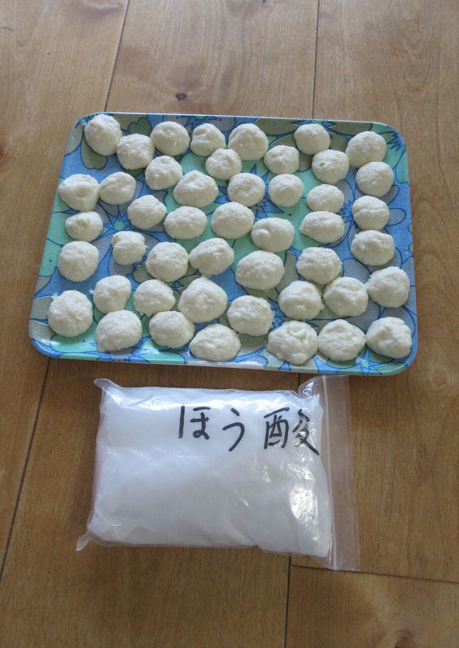 ホウ酸だんご 兎も角付いて行こう ホウ酸だんご 兎も角付いて行こう