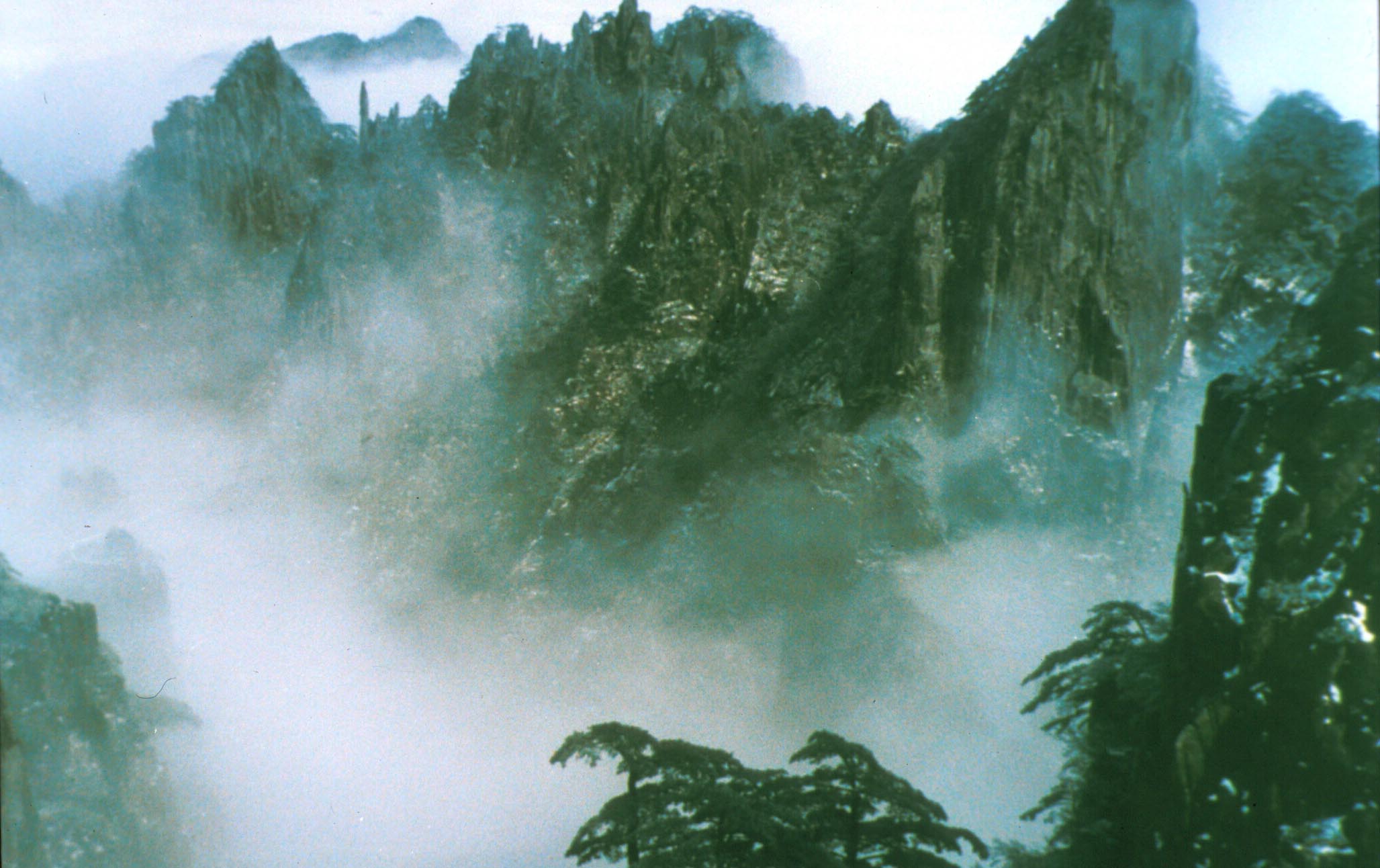 中国自然遺産 株式投資