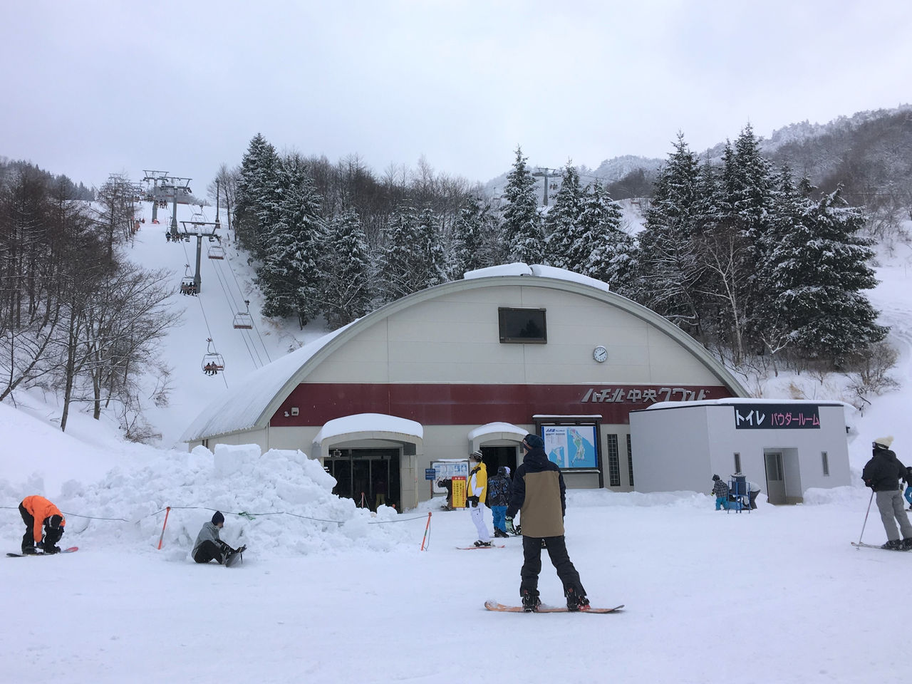 高原 天気 北 ハチ