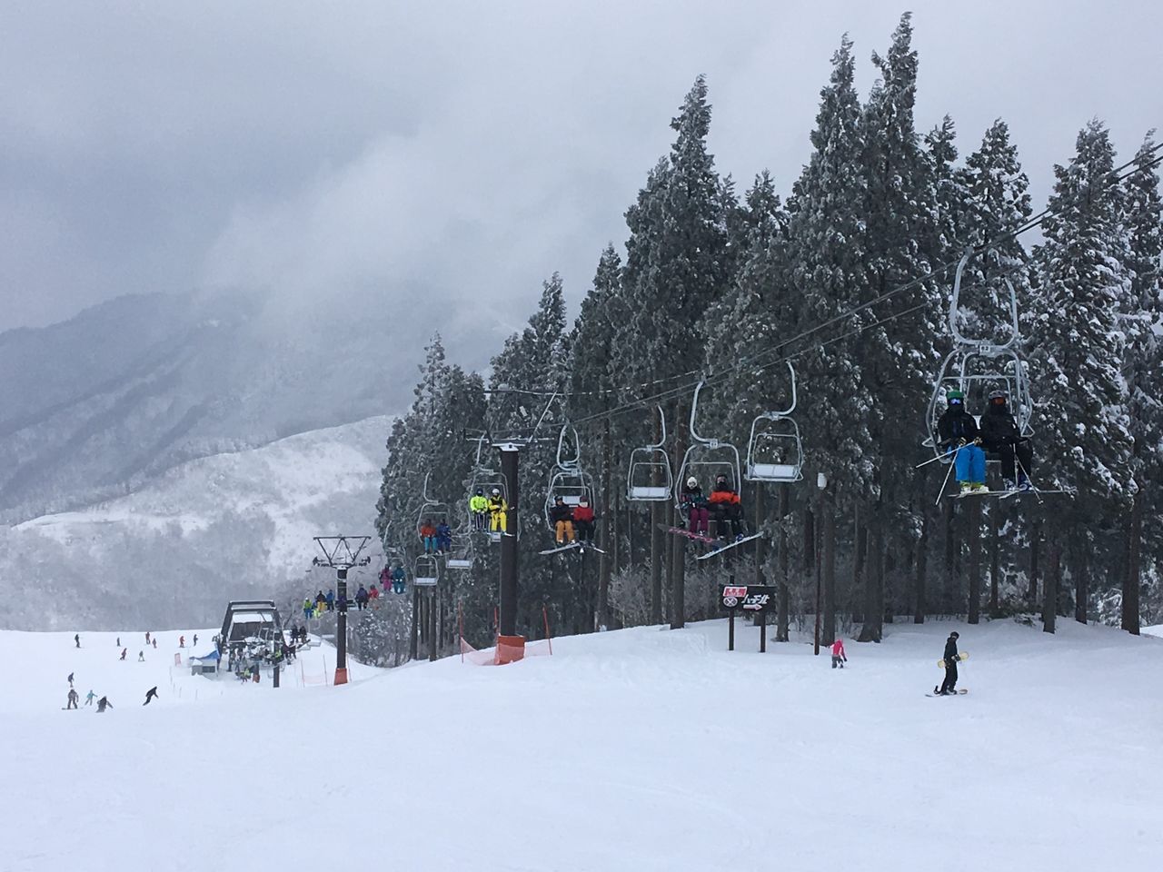 ハチ 北 高原 スキー 場