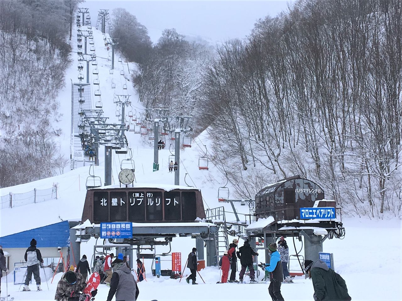 高原 ハチ 北
