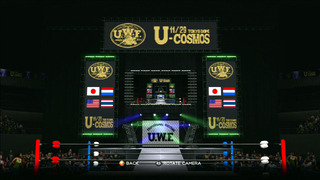 U-cosmos stage