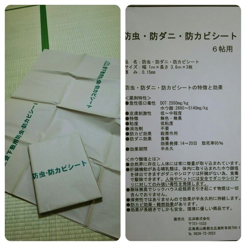 和室を改造 畳の上にフロアマット もちぶろ ジャックラッセルテリアのもちこ日記