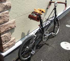 Moulton