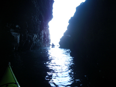 IMGP0769