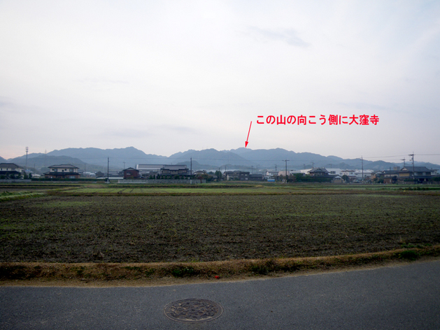 IMGP1015のコピー