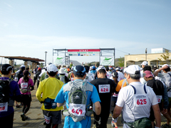 IMGP1364