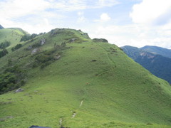 IMG_2779