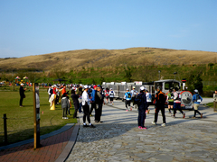 IMGP1362