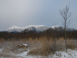 八ヶ岳15