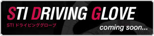 sti-glove-top_banner